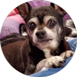 Profile photo of Kamie Kelley