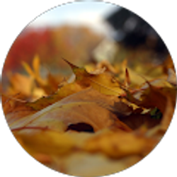 Profile photo of David Rosenberg