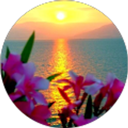 Profile photo of Jennifer Sullivan