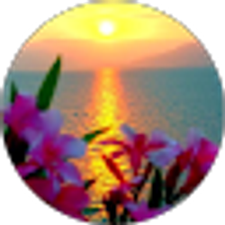 Profile photo of Jennifer Sullivan