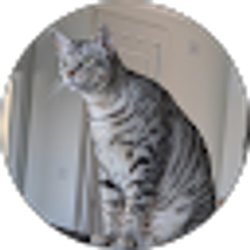 Profile photo of Kevin Leininger