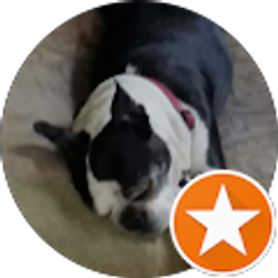 Profile photo of Kathy M. Cyr