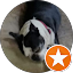 Profile photo of Kathy M. Cyr