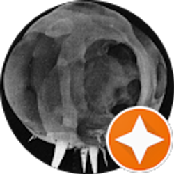 Profile photo of J P