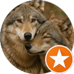 Profile photo of Beto U