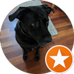 Profile photo of Nicholas Rinaldi