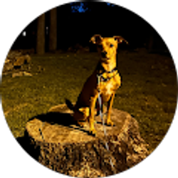 Profile photo of Jason Fabris