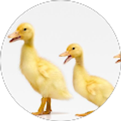 Profile photo of Lisa Monroe