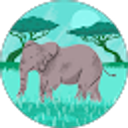 Profile photo of anna gonzalez