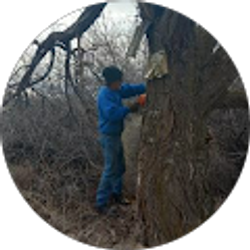 Profile photo of William Howells