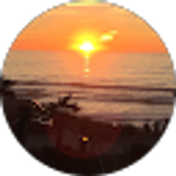 Profile photo of vanessa lopez