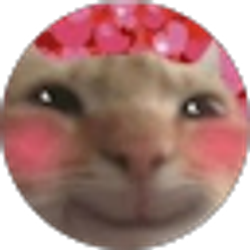 Profile photo of Kat Westbrook