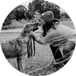 Profile photo of Blaze