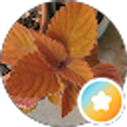 Profile photo of Ruby Cactus