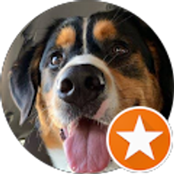 Profile photo of Richard Buscemi