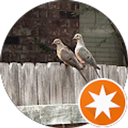 Profile photo of LMN Nava