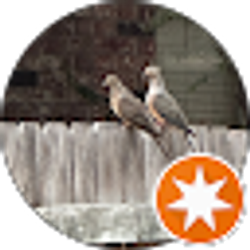 Profile photo of LM Fanava