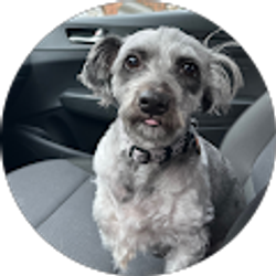 Profile photo of David