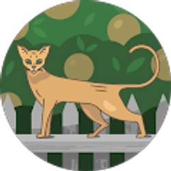 Profile photo of Esther Munoz hernandez