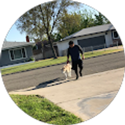 Profile photo of Tomas Pascual