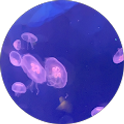 Profile photo of Mary Kaing