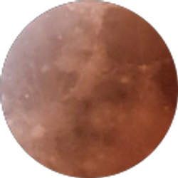 Profile photo of Steve P