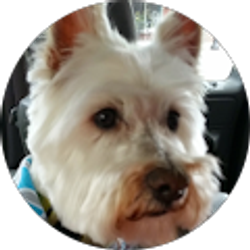 Profile photo of Dannielle Hamilton