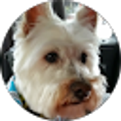 Profile photo of Dannielle Hamilton
