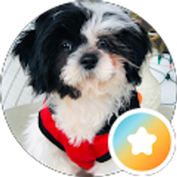 Profile photo of NeL Flores