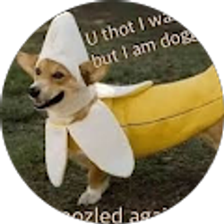 Profile photo of Kyle Schafer