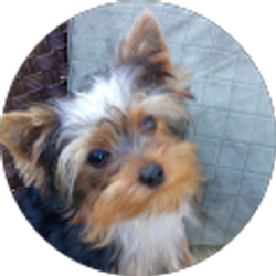 Profile photo of Cheryl Spurlin