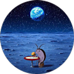 Profile photo of Mara O