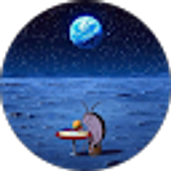 Profile photo of Mara O