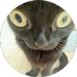 Profile photo of Aisha Rodriguez