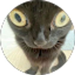 Profile photo of Aisha Rodriguez