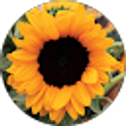 Profile photo of Chelsea Hochwalt