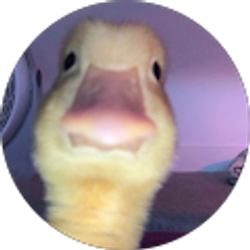 Profile photo of luizOnYT