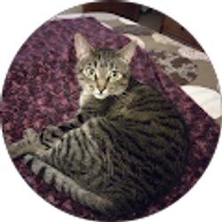 Profile photo of Jan gerson