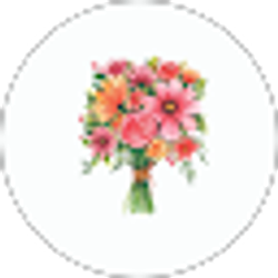 Profile photo of Anna Paige Christofferson
