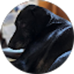 Profile photo of Janice W.