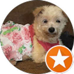 Profile photo of Jennifer Switzer