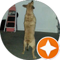 Profile photo of Jacqueline Counts