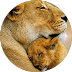 Profile photo of Kala Meek