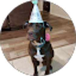 Profile photo of Chelsea Sutton