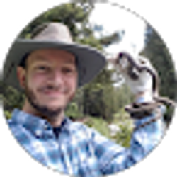 Profile photo of Joseph Bumpus