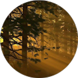 Profile photo of Jacob Martin