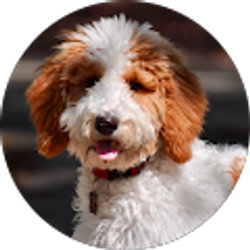 Profile photo of Reck It Rosie