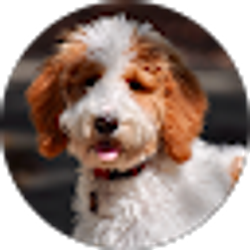 Profile photo of Reck It Rosie
