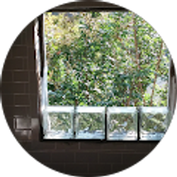 Profile photo of Karlis Thomas