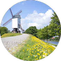 Profile photo of Tiffany Do